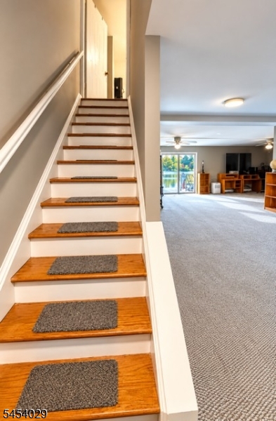 113 North Shore Property Photo 18
