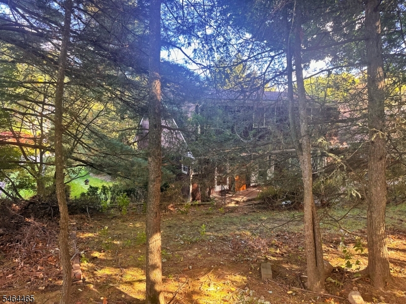 26 Faber Dr Property Photo 47