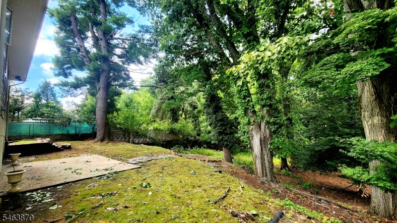 11 Brookhill Pl Property Photo 17