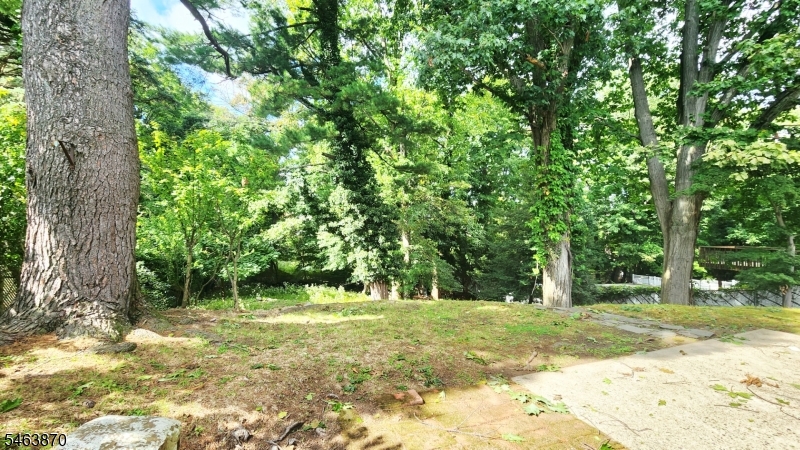 11 Brookhill Pl Property Photo 18