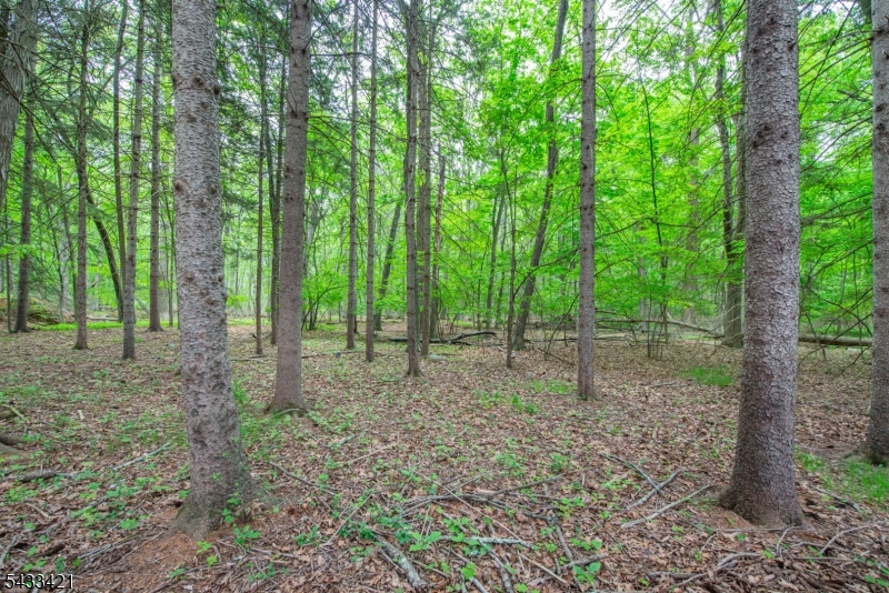 181 Center Grove Rd Property Photo 45