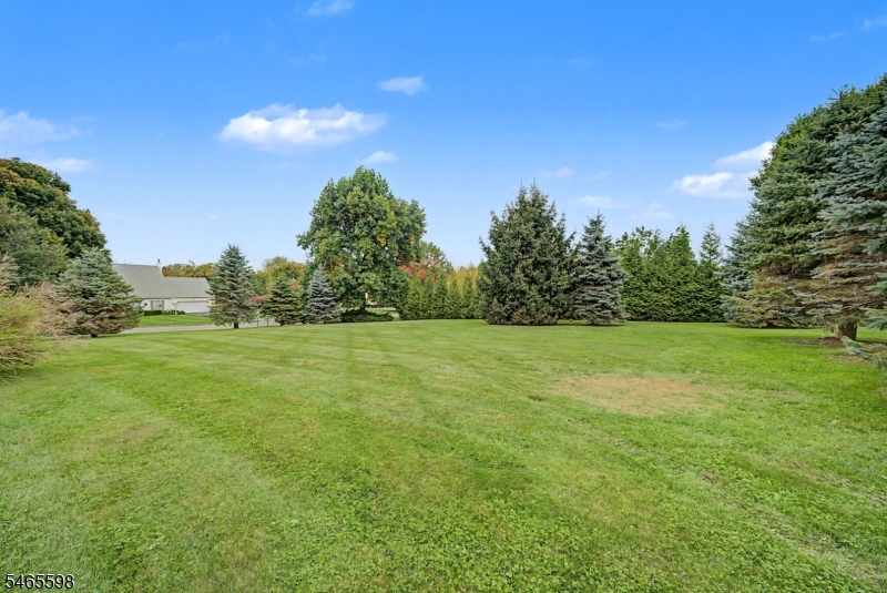 73 Pinkneyville Rd Property Photo 22