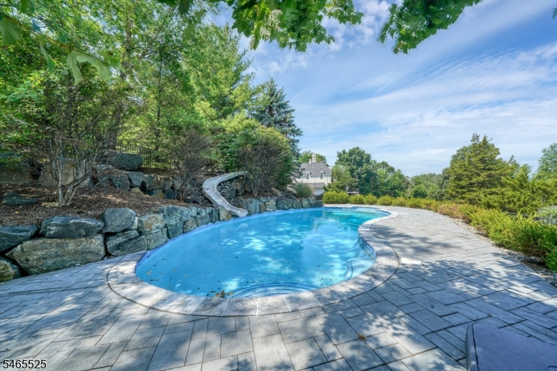 3 Shenandoah Ct Property Photo 37
