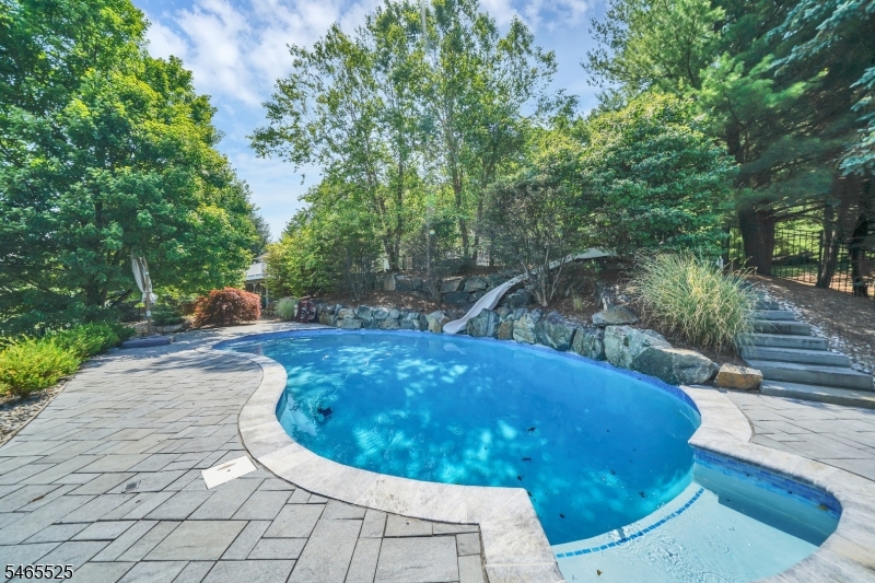 3 Shenandoah Ct Property Photo 38