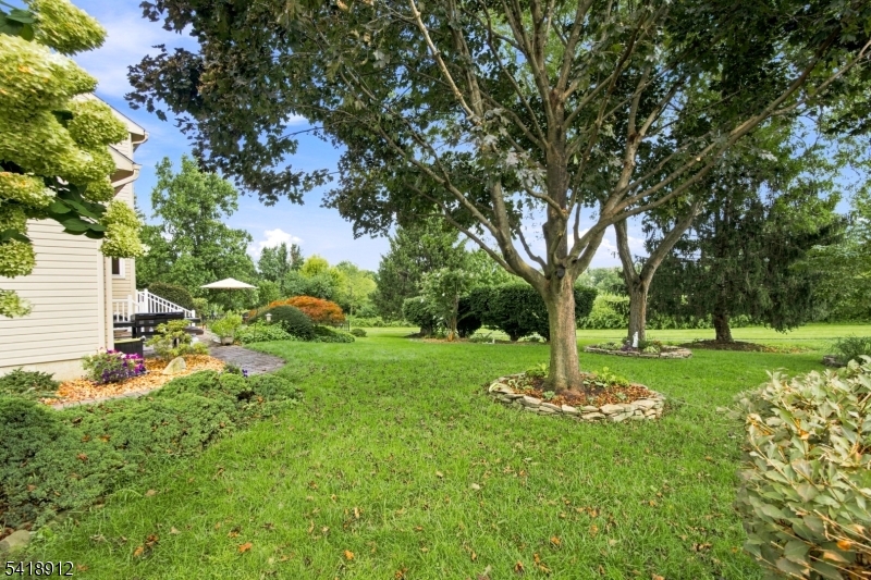 1709 Washington Valley Drive Property Photo 23