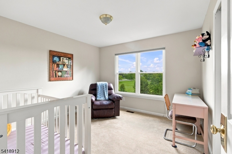1709 Washington Valley Drive Property Photo 37