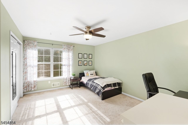 56 Whitehead Road Property Photo 13