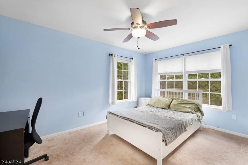 56 Whitehead Road Property Photo 14