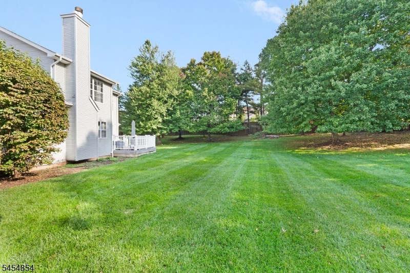 56 Whitehead Road Property Photo 18