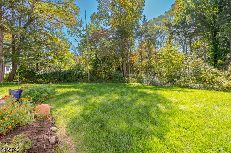 418 Hawkshead Way Property Photo 19