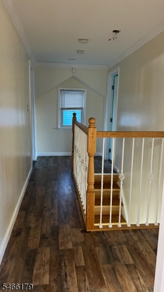 41 Springdale Ct Property Photo 14