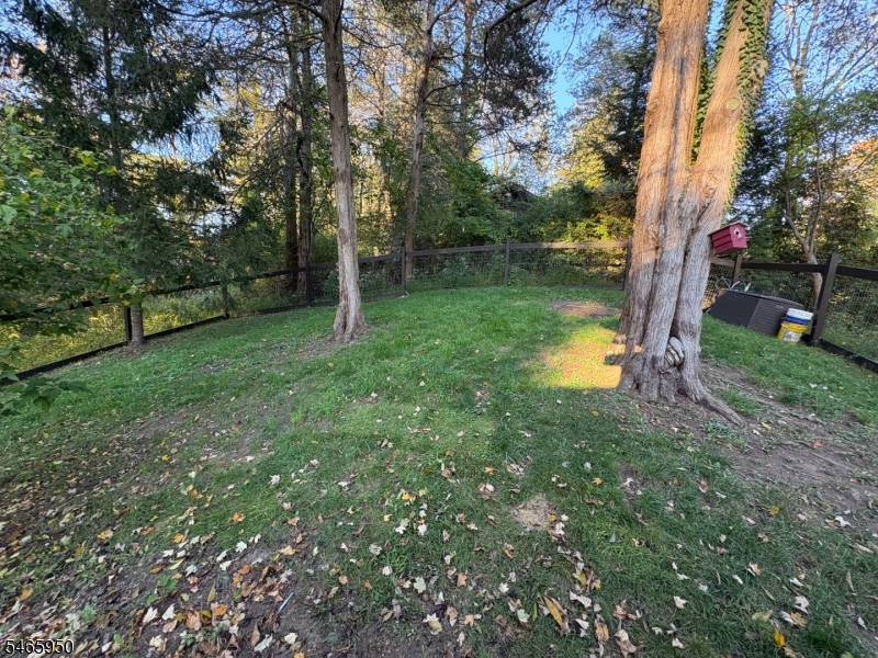 928 Cedar Dr Property Photo 3