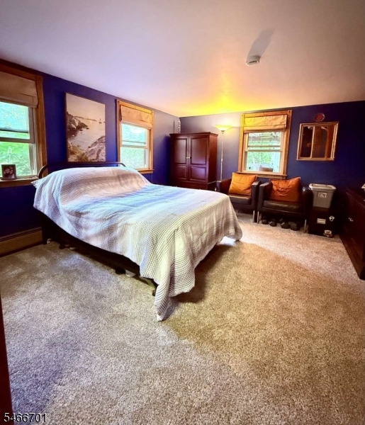 14 Woodland Rd Property Photo 30