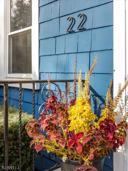 22 Euclid Pl Property Photo 6