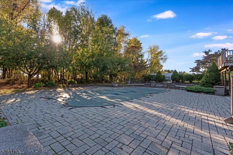 9 Dagmar Dale Dr Property Photo 30
