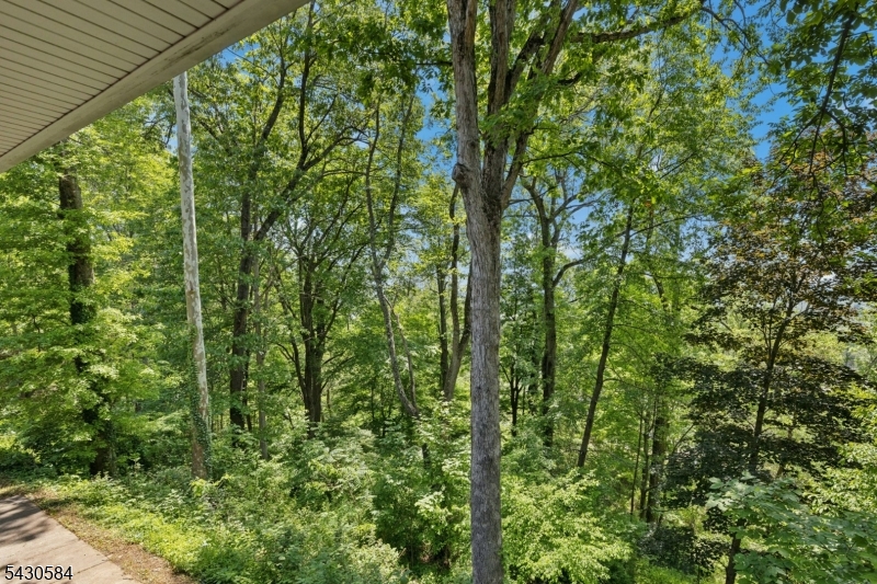 783 Long Hill Rd Property Photo 41