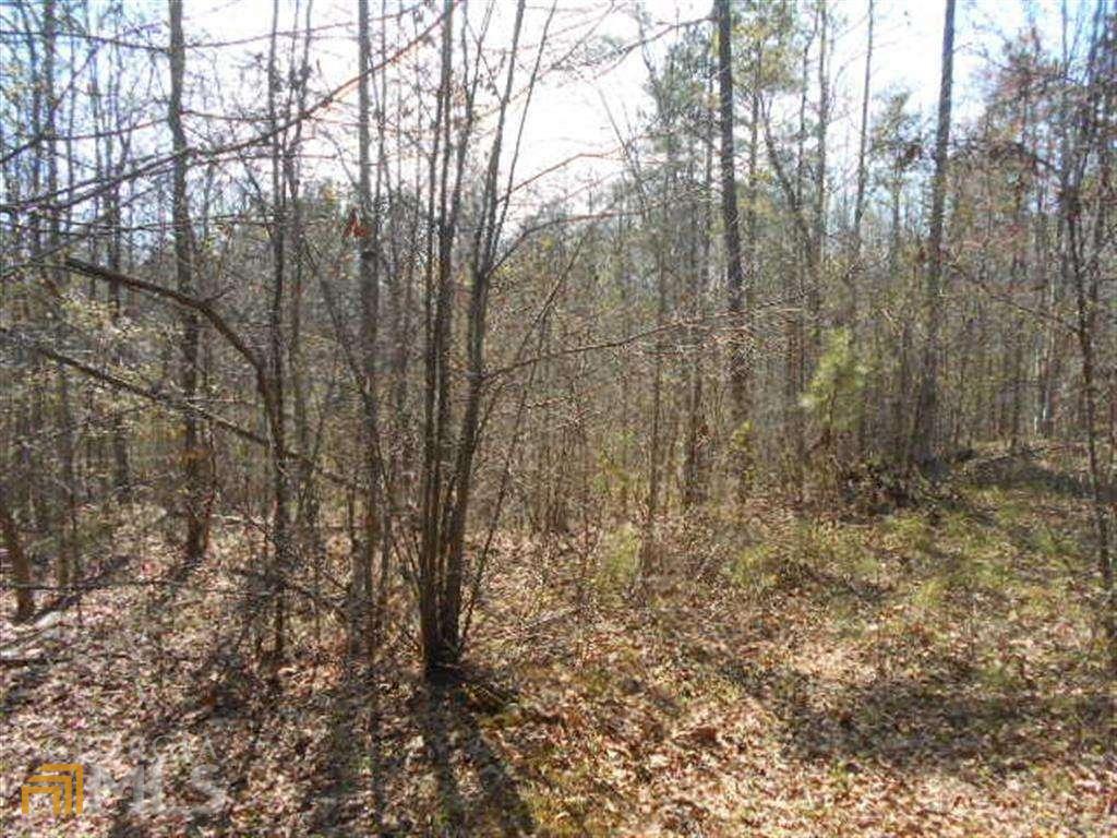 0 Nebo Road Property Photo 4