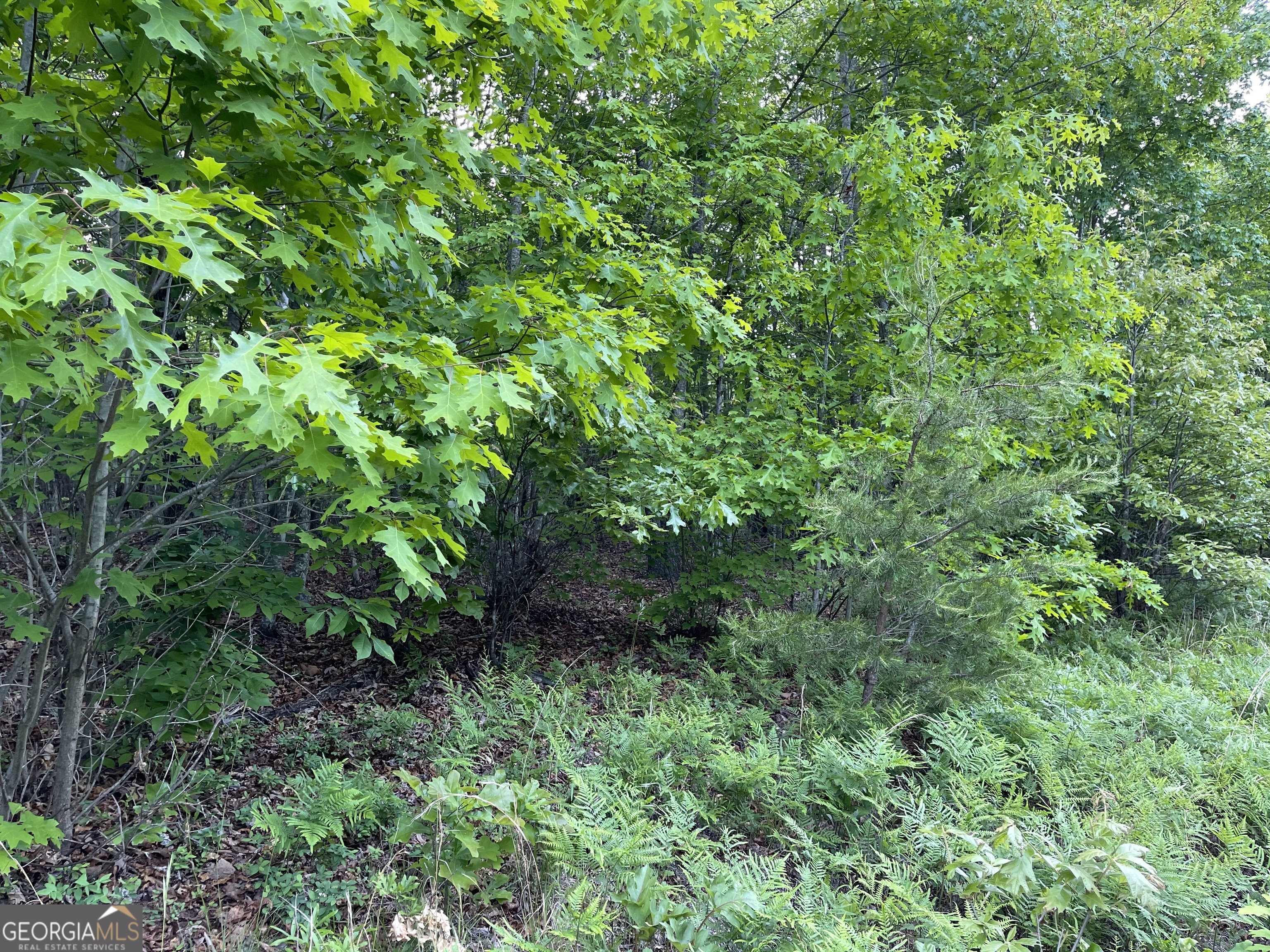 0 Ben Jones Road Property Photo 2