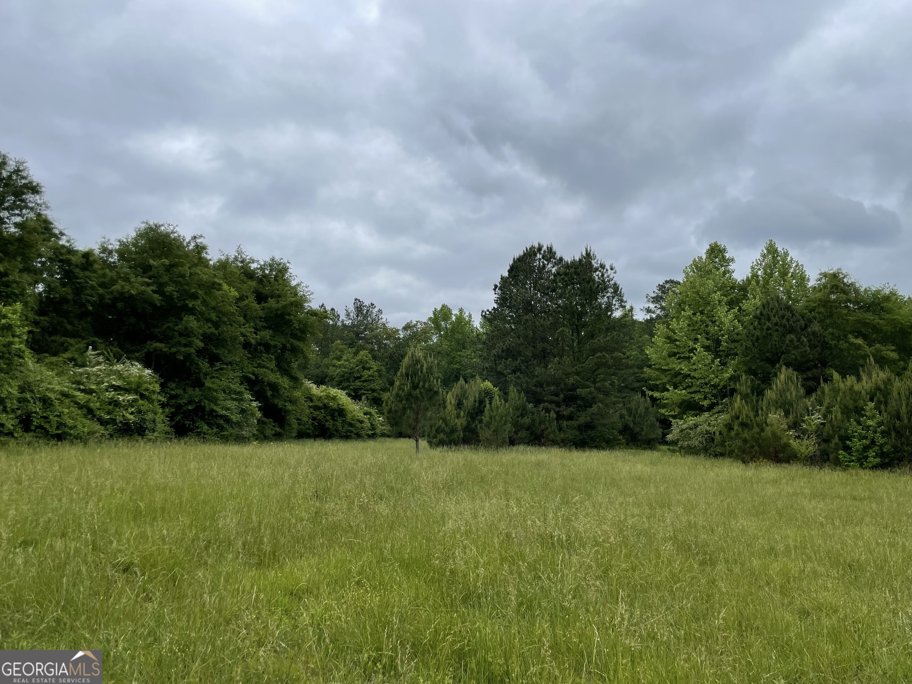 216 Mcmichen Road Property Photo 1