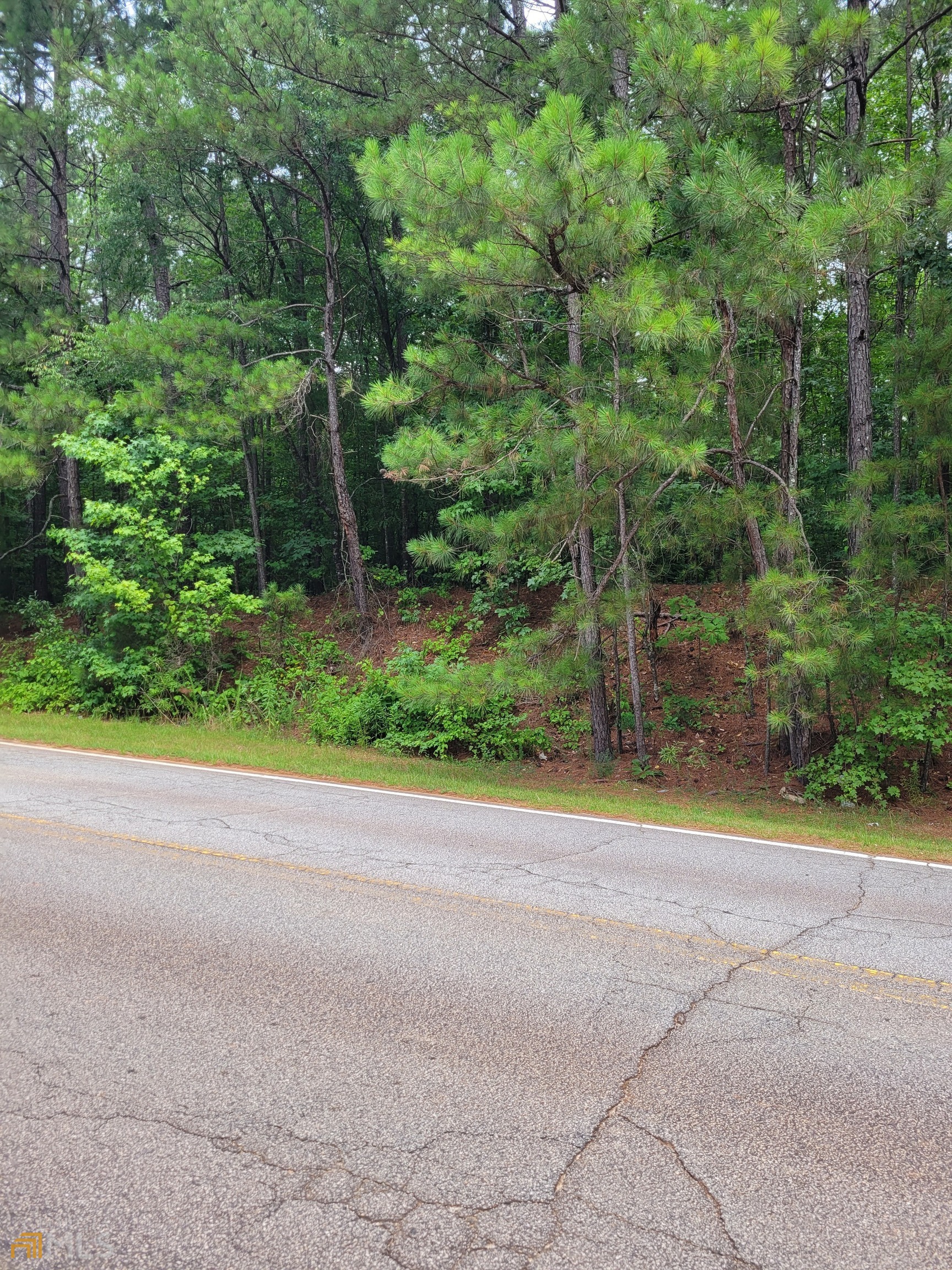 0 White Mill Road Property Photo 1