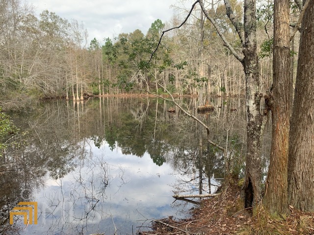 0 Helena Chauncey Road Property Photo 1