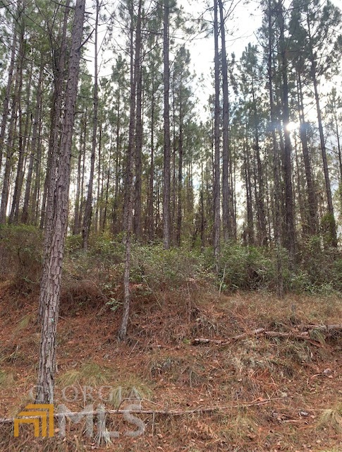0 Helena Chauncey Road Property Photo 2