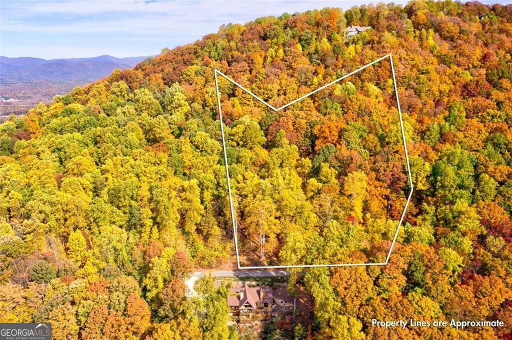 228 Stone Cliff Trace Property Photo 3