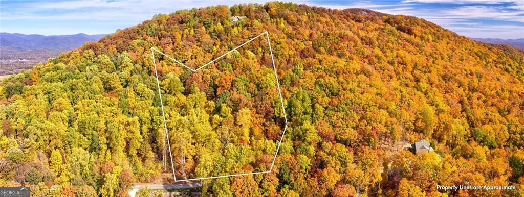 228 Stone Cliff Trace Property Photo 4