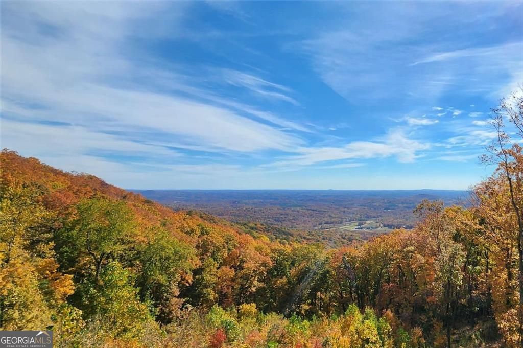 228 Stone Cliff Trace Property Photo 8