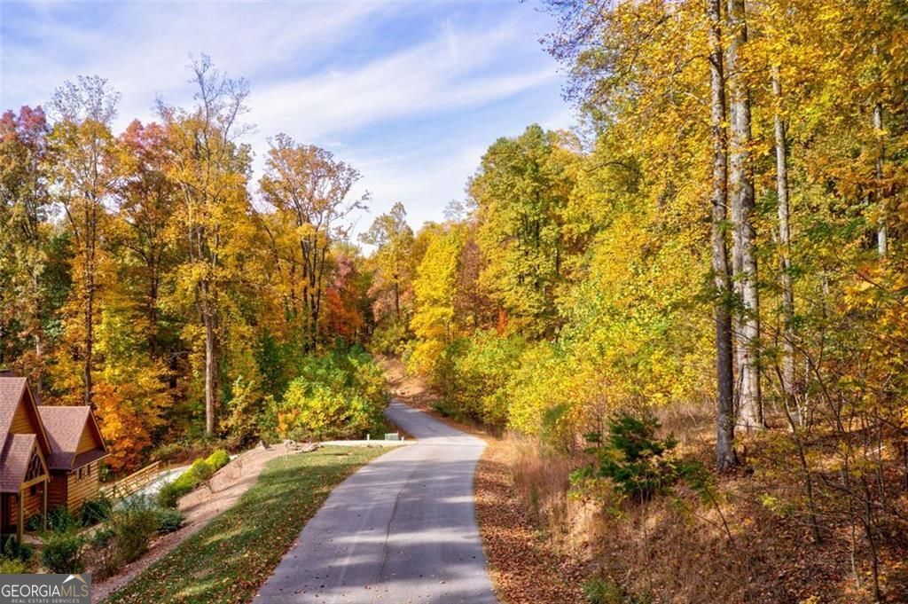 228 Stone Cliff Trace Property Photo 10