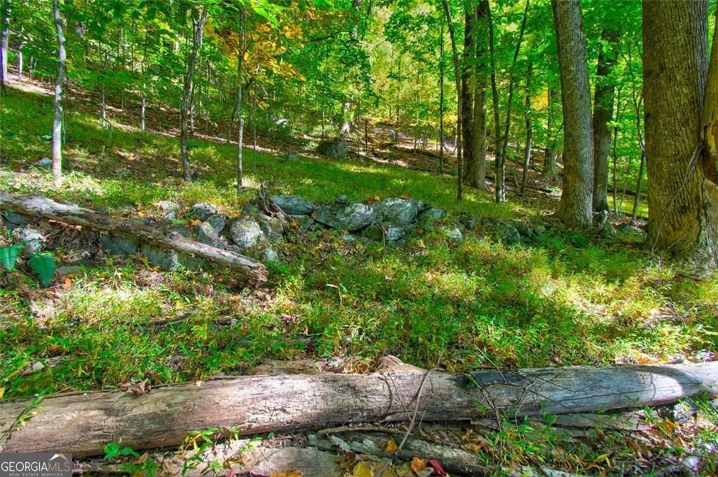 228 Stone Cliff Trace Property Photo 12