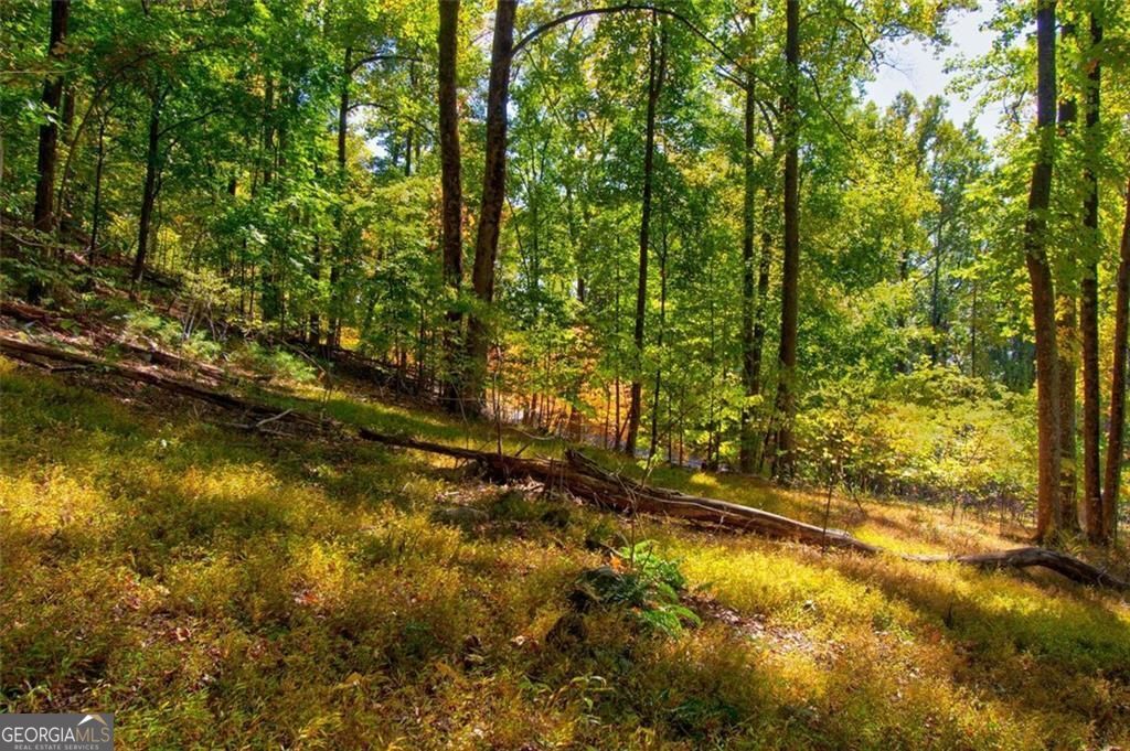 228 Stone Cliff Trace Property Photo 13