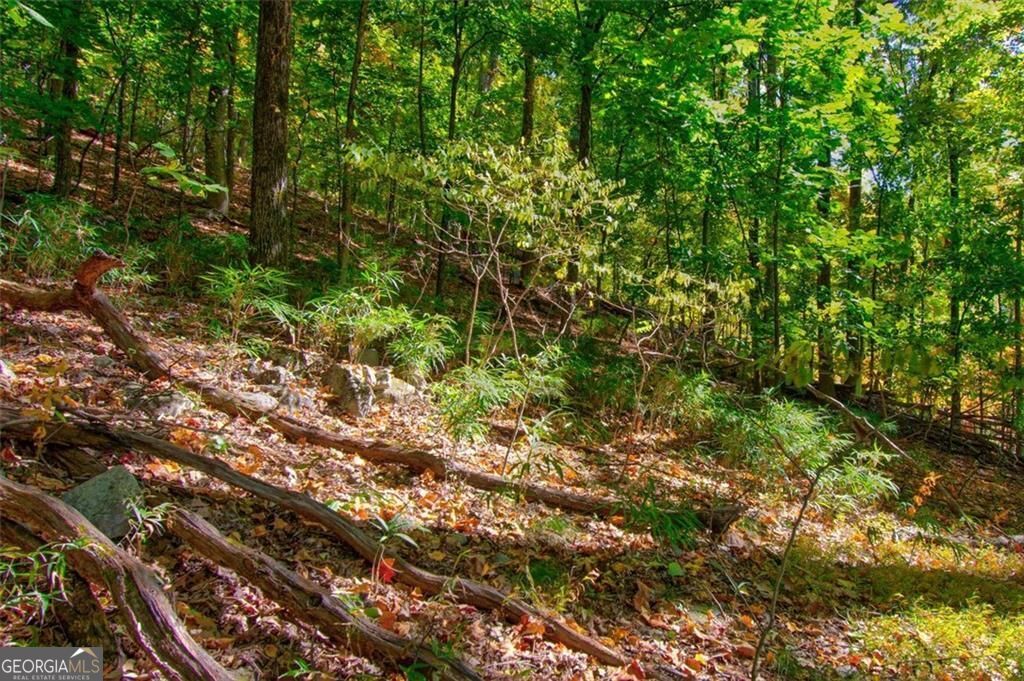 228 Stone Cliff Trace Property Photo 14