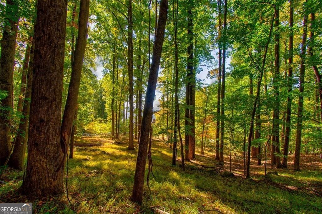 228 Stone Cliff Trace Property Photo 16