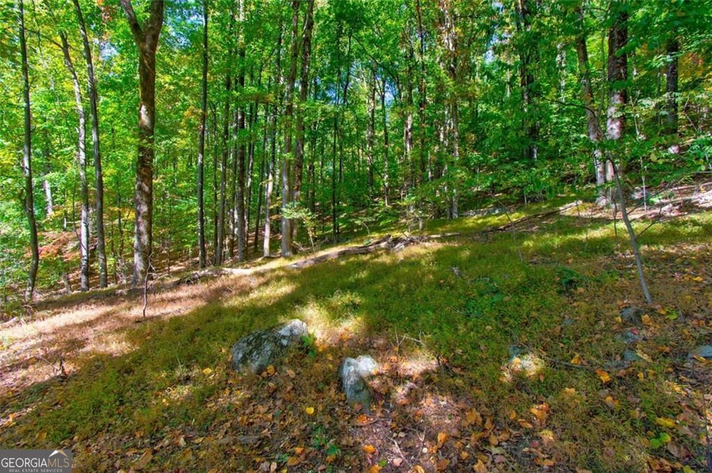 228 Stone Cliff Trace Property Photo 17