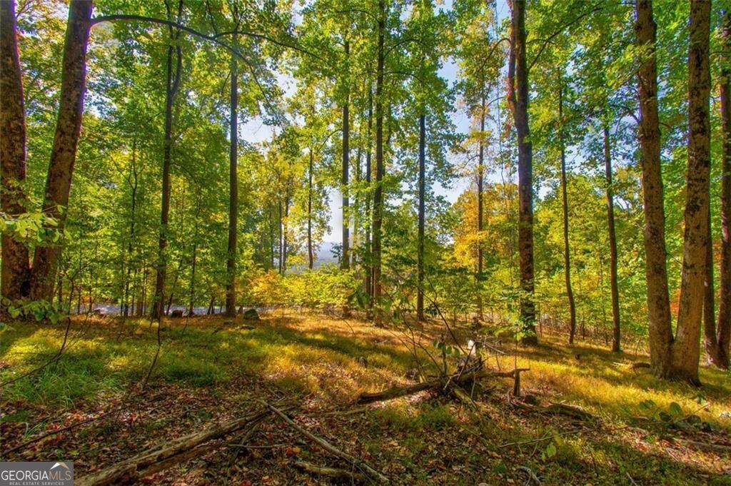 228 Stone Cliff Trace Property Photo 18