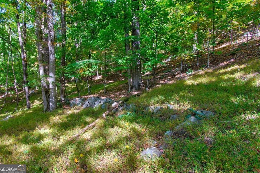 228 Stone Cliff Trace Property Photo 19