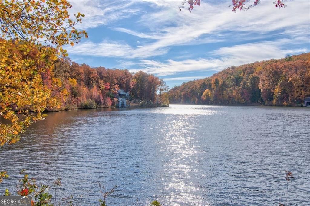 228 Stone Cliff Trace Property Photo 40