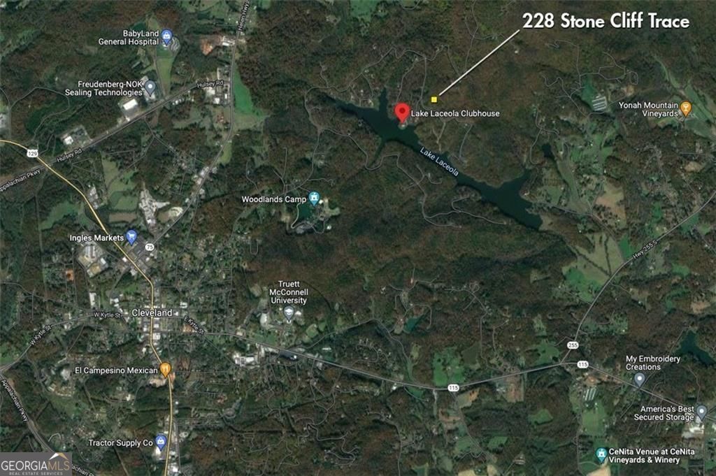 228 Stone Cliff Trace Property Photo 46