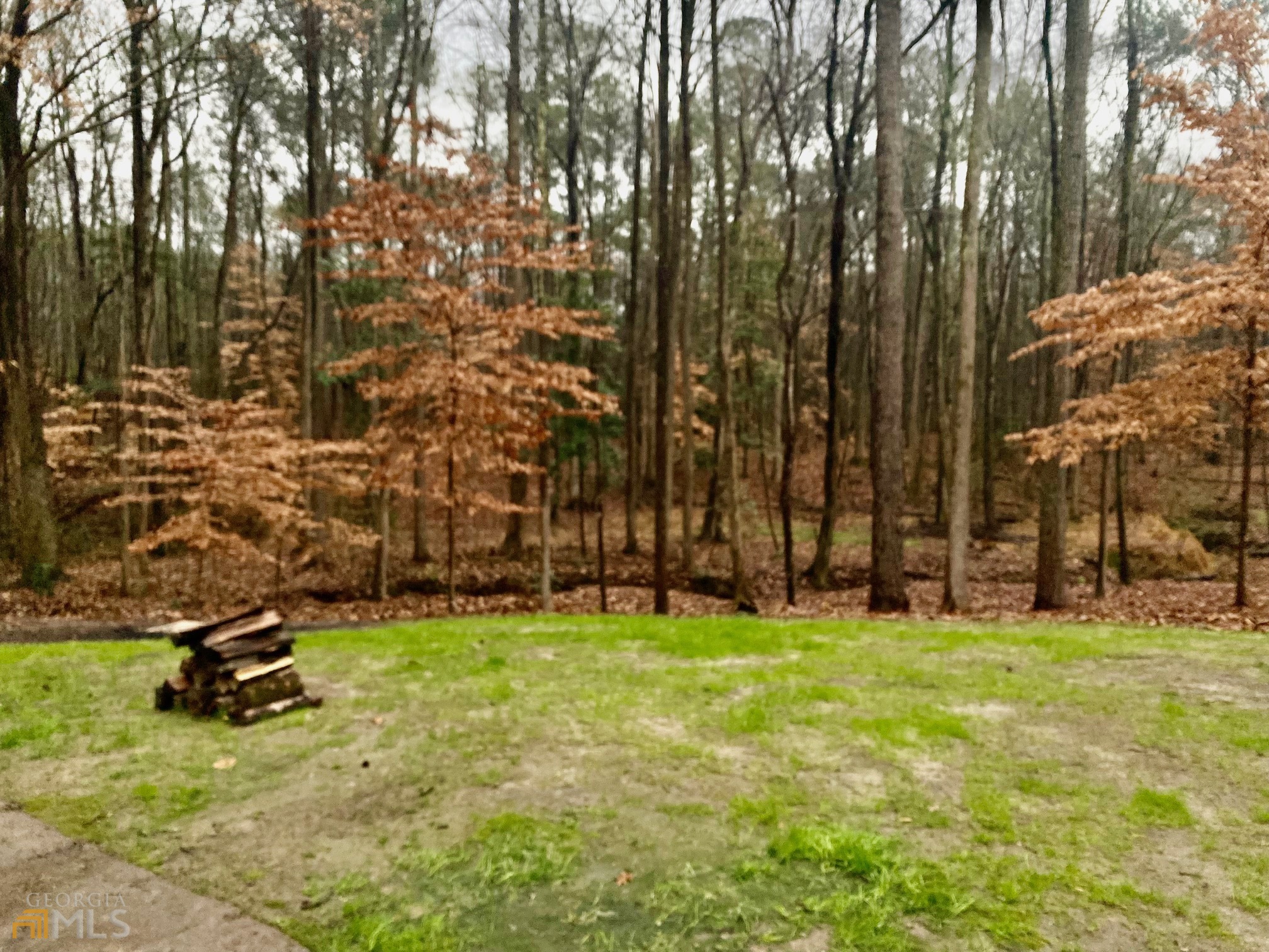 20606 Ga Highway 34 Property Photo 6