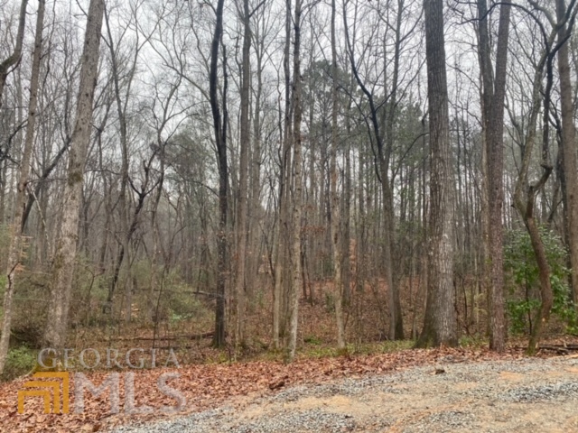 20606 Ga Highway 34 Property Photo 12
