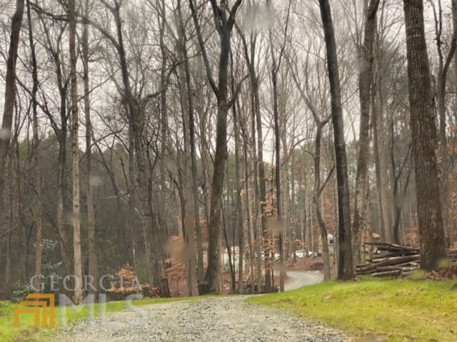 20606 Ga Highway 34 Property Photo 15