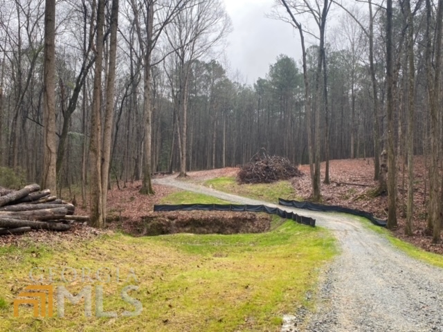 20606 Ga Highway 34 Property Photo 17