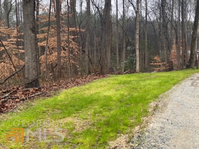 20606 Ga Highway 34 Property Photo 20