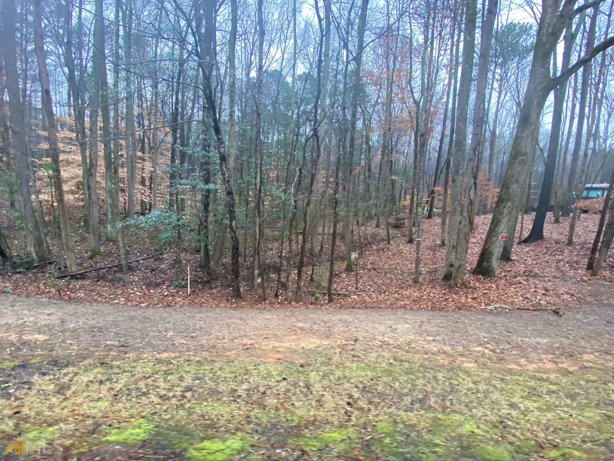 20606 Ga Highway 34 Property Photo 22