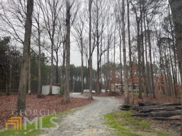 20606 Ga Highway 34 Property Photo 28