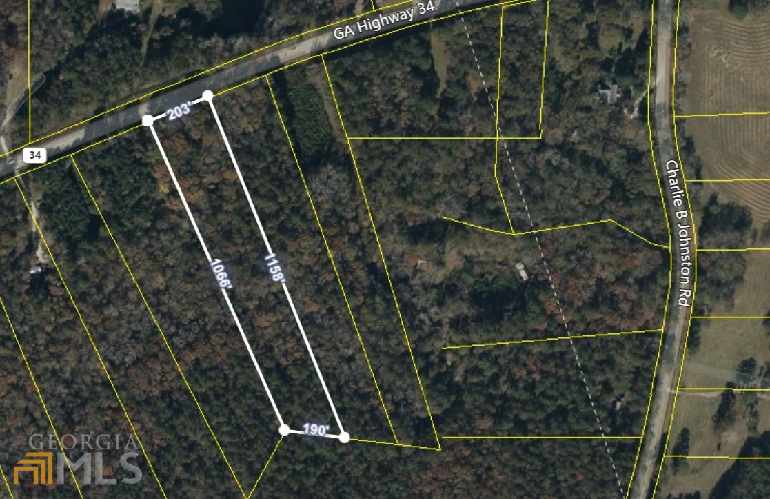 20606 Ga Highway 34 Property Photo 34