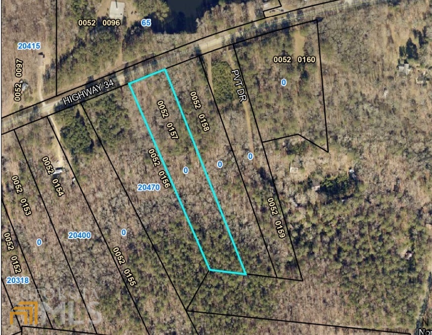 20606 Ga Highway 34 Property Photo 35