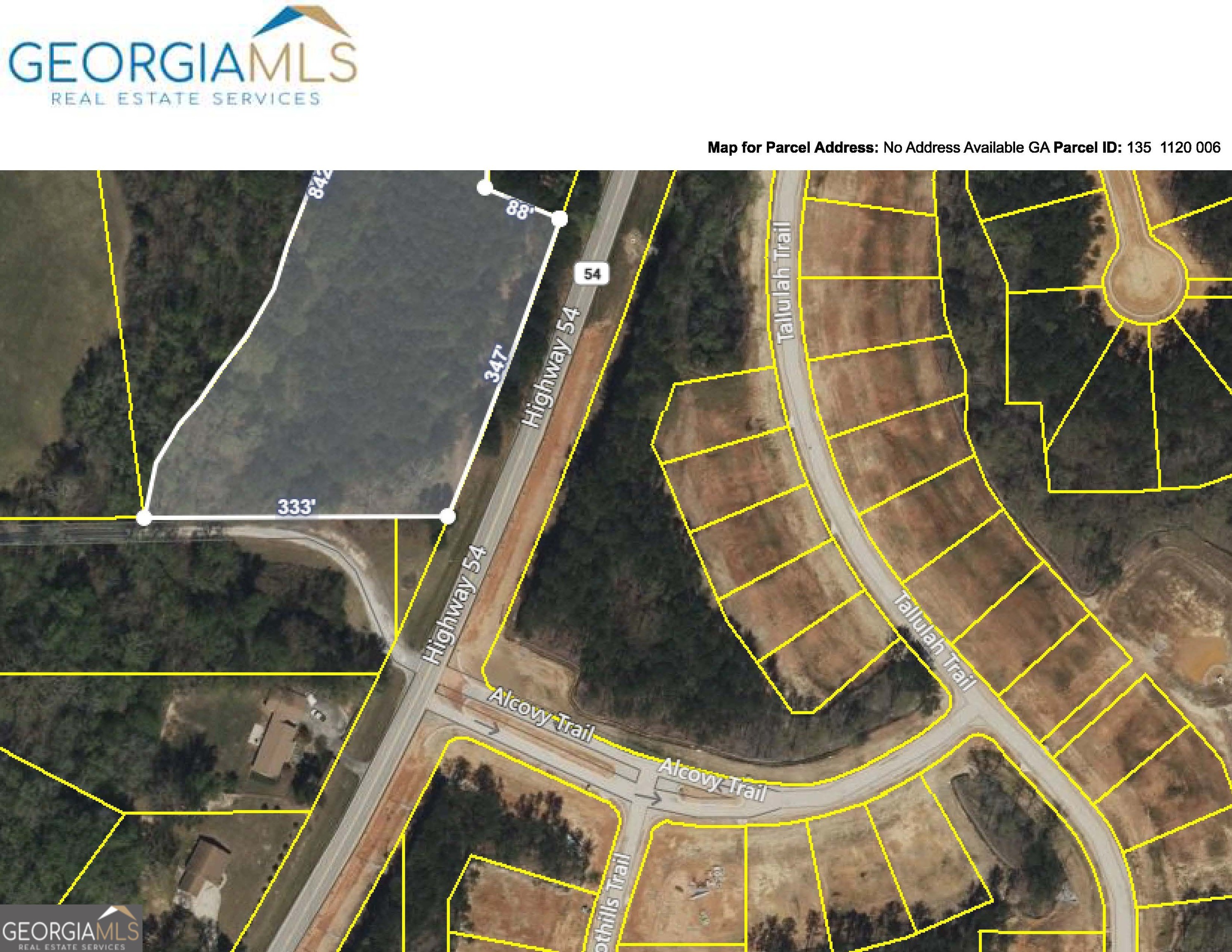 0 Highway 54 Property Photo 1