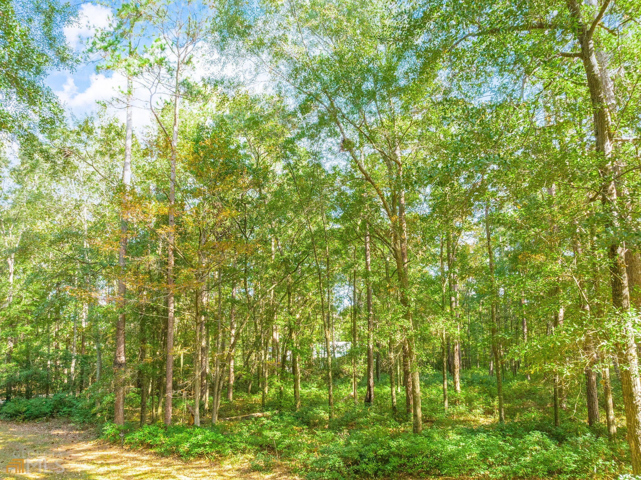 134 Dogwood Way Property Photo 11